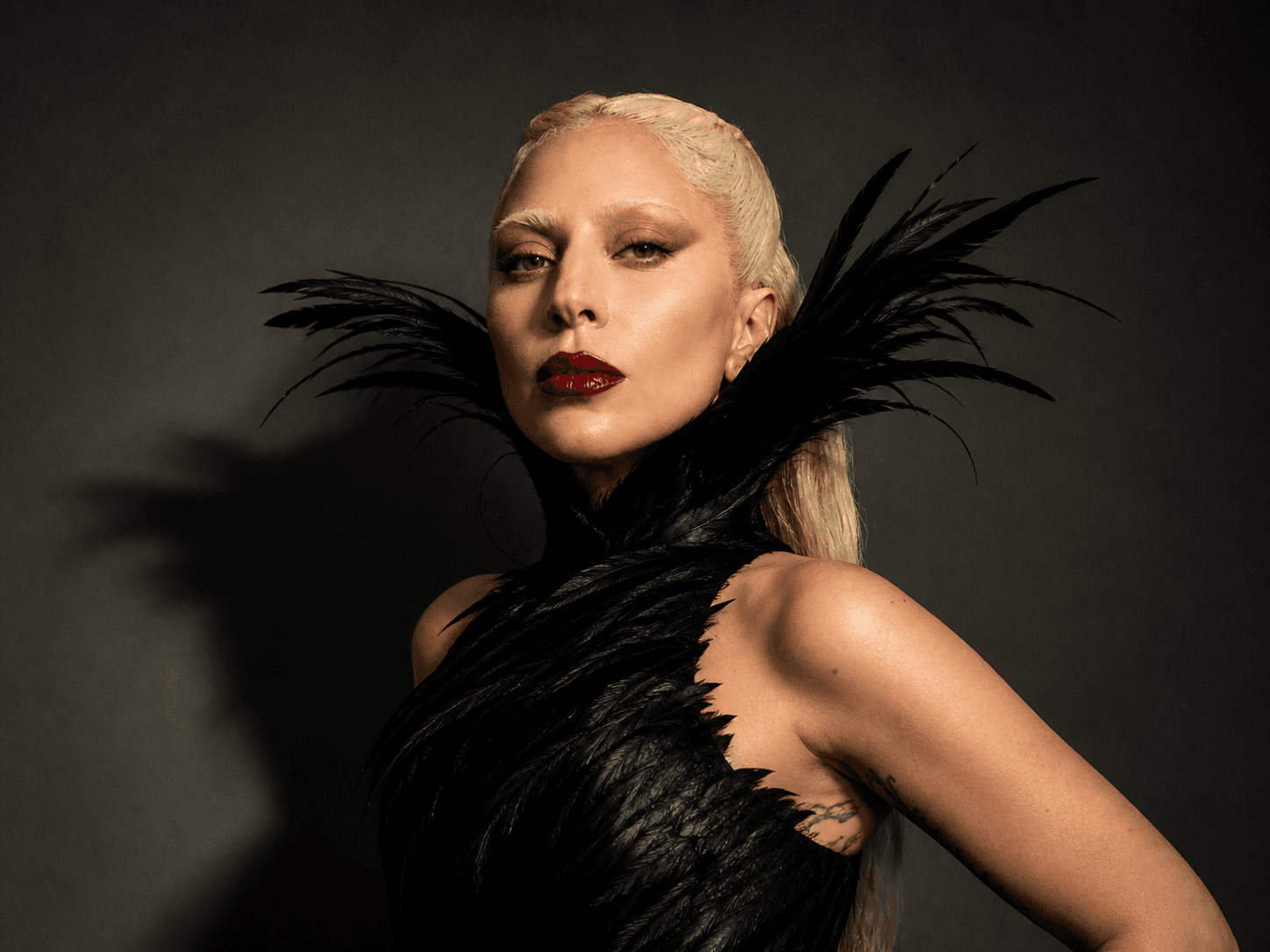 Lady Gaga booking profile