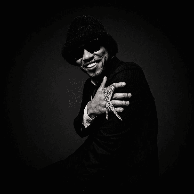 Anderson Paak booking profile