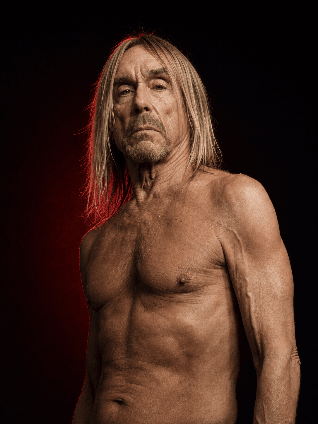 Iggy Pop booking profile