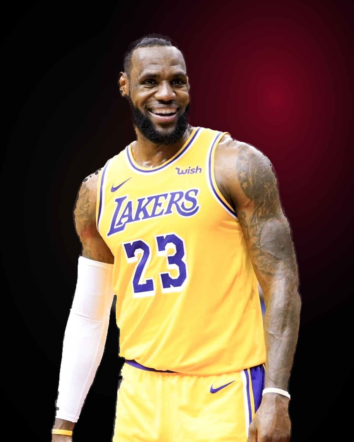 LeBron James booking profile