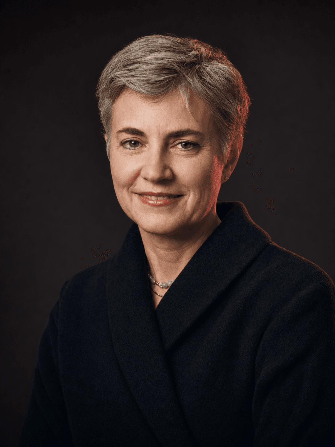 Robin Chase booking profile