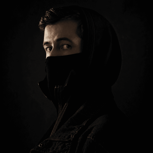 Alan Walker booking profile