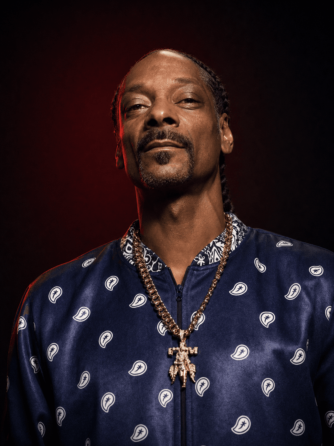 Snoop Dogg booking profile